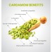 Cardamom| इलायची Cardamom| इलायची