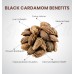 Black Cardamom|बड़ी इलायची Black Cardamom|बड़ी इलायची